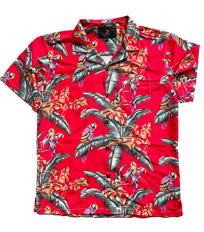 Hawaiian (Curtis)